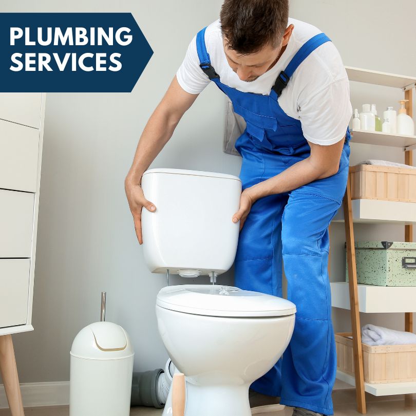 Plumbing Company in Flovilla, GA